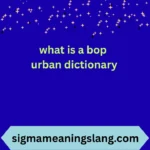 what is a bop urban dictionary