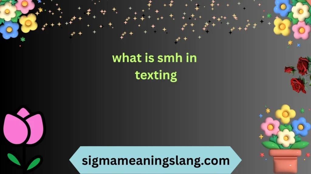 what is smh in texting