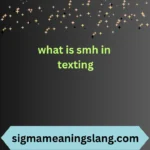 what is smh in texting