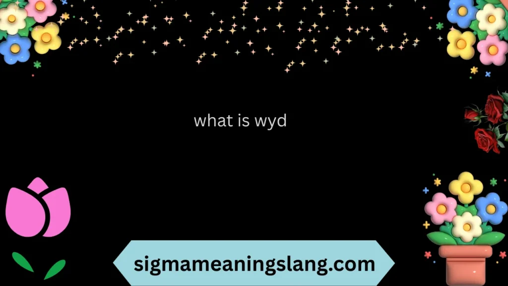 what is wyd