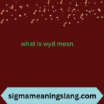 what is wyd mean