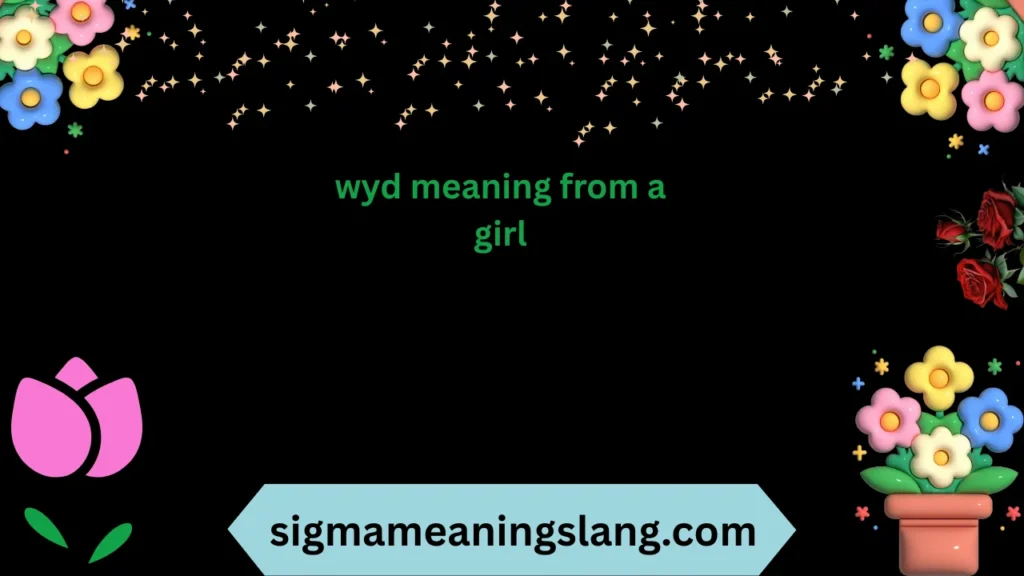 wyd meaning from a girl