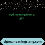 wyd meaning from a girl
