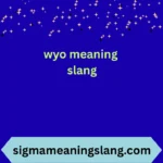 wyo meaning slang