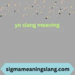 yn slang meaning