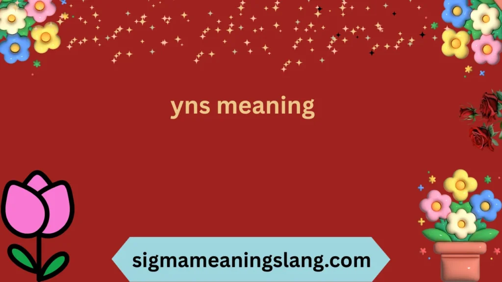 yns meaning