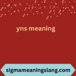 yns meaning