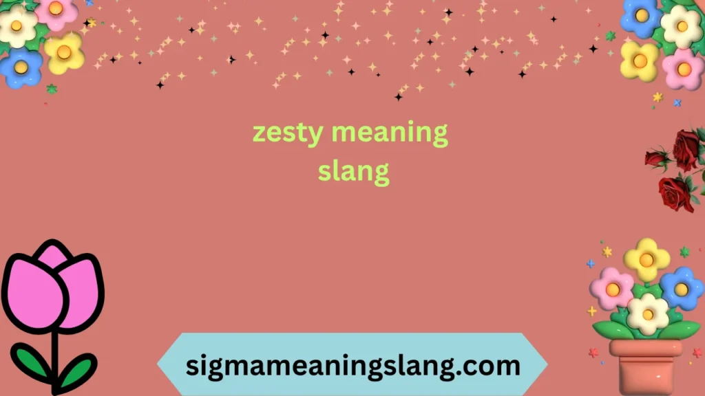 zesty meaning slang