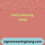 zesty meaning slang