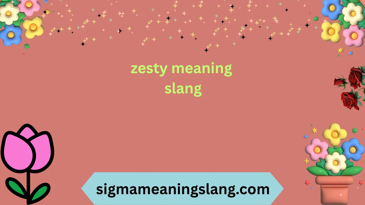 zesty meaning slang