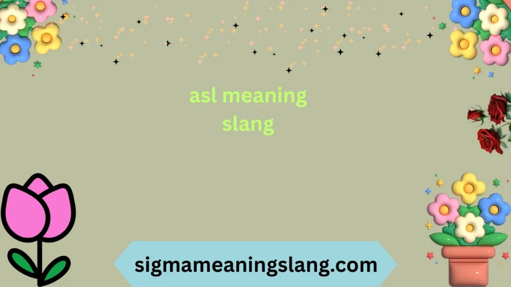 asl meaning slang