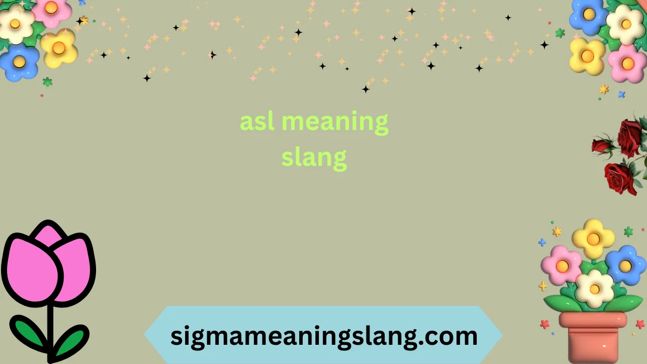 asl meaning slang