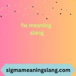 fw meaning slang