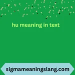 hu meaning in text