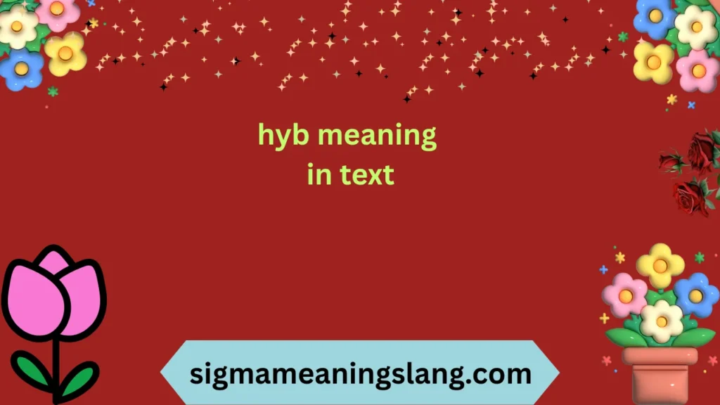 hyb meaning in text