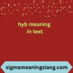 hyb meaning in text