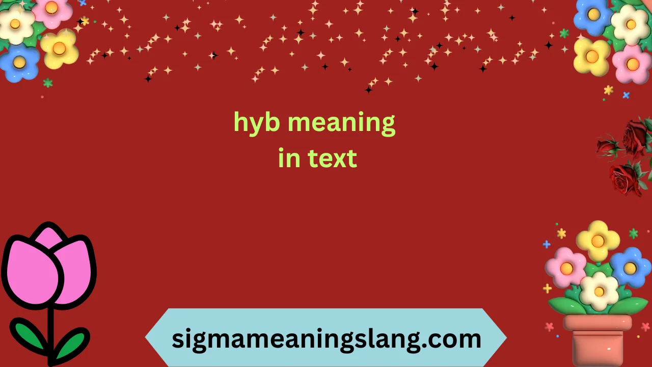 hyb meaning in text