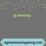 ig meaning