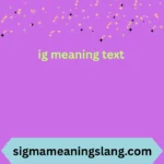 ig meaning text