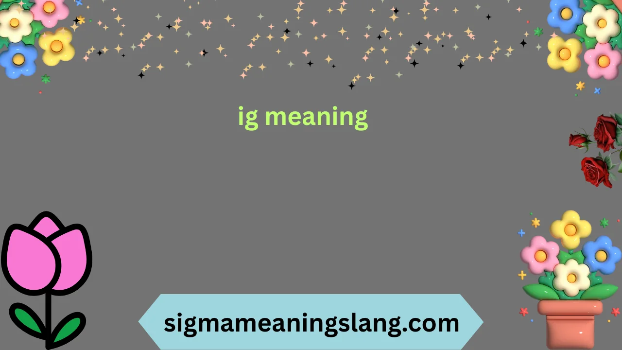 ig meaning