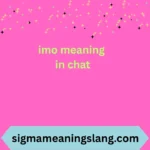 imo meaning in chat