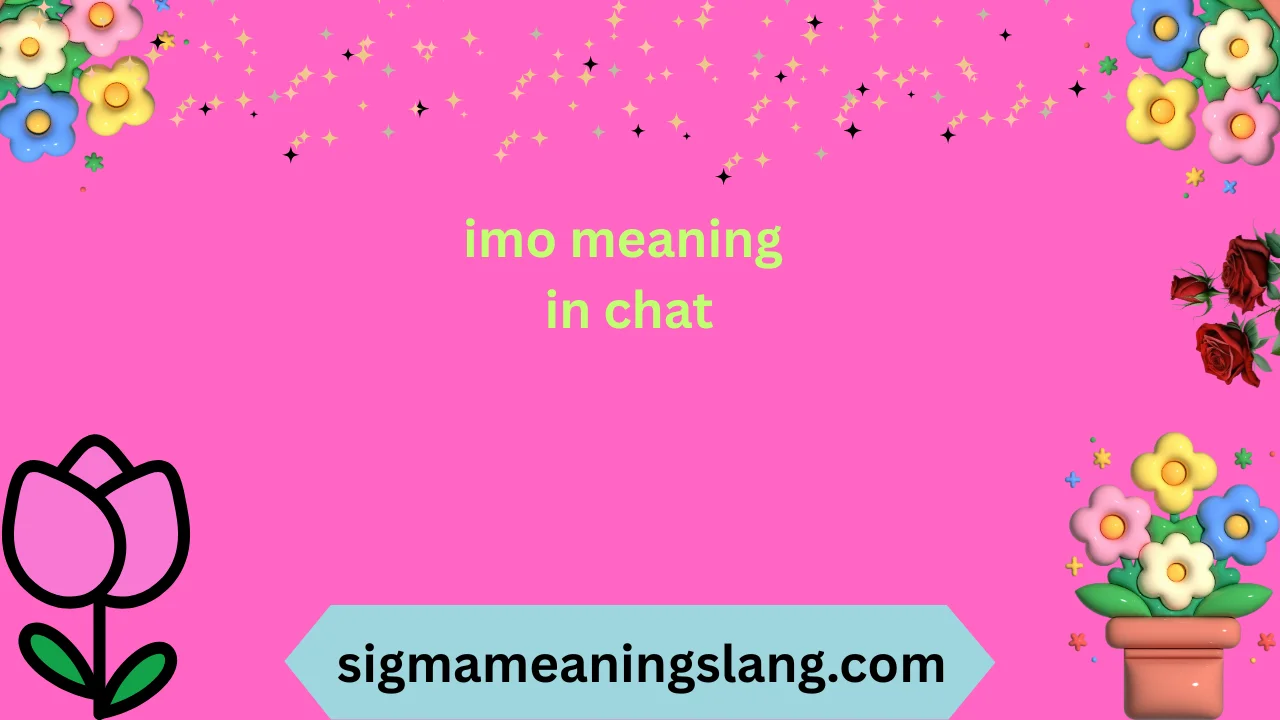 imo meaning in chat