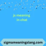 js meaning in chat