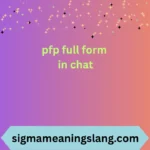 pfp full form in chat