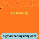 pfp meaning