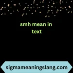 smh mean in text
