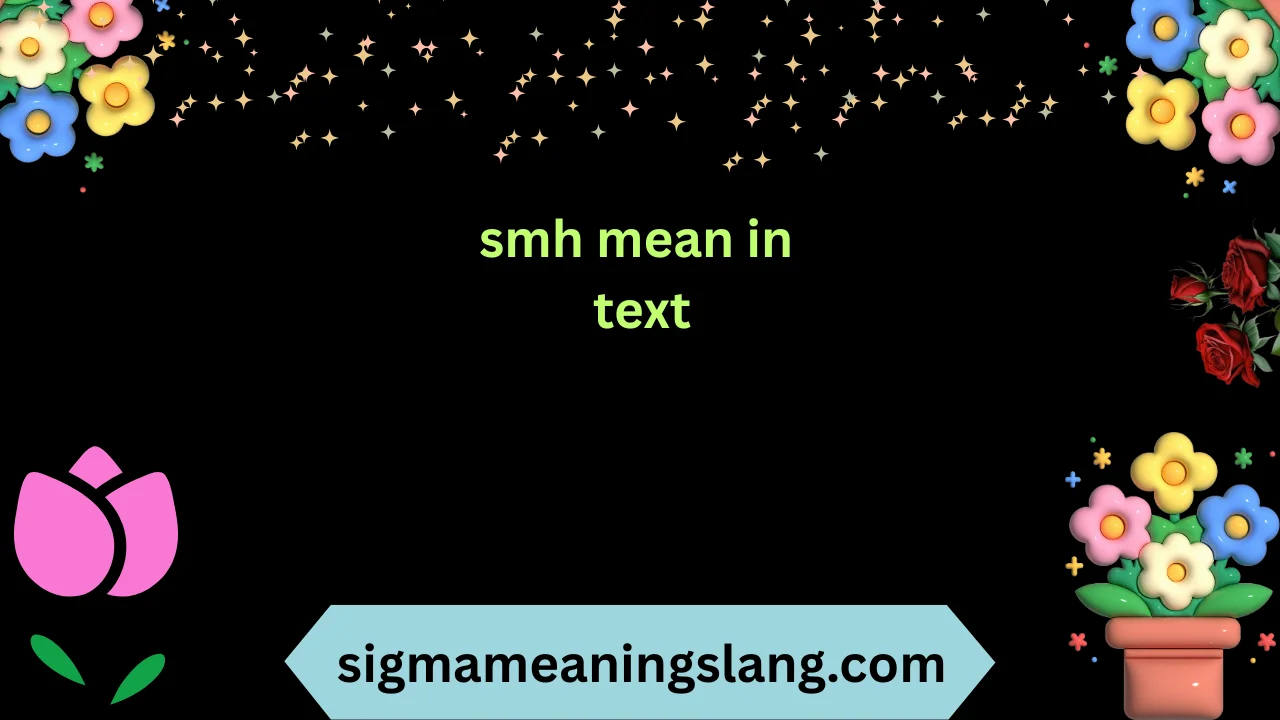 smh mean in text