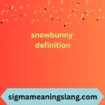 snowbunny definition