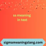 ss meaning in text