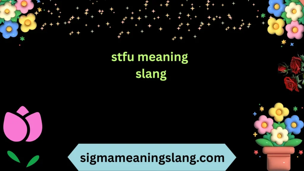 stfu meaning slang