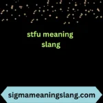 stfu meaning slang