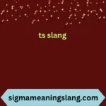 ts slang
