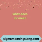 what does br mean