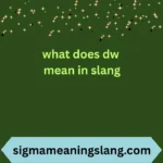 what does dw mean in slang