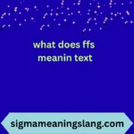 what does ffs mean