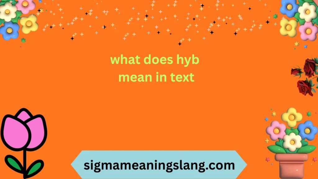 what does hyb mean in text