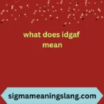 what does idgaf mean
