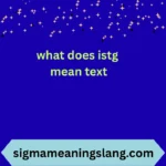what does istg mean text