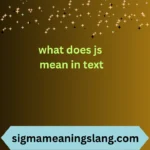 what does js mean in text