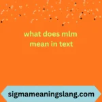 what does mlm mean in text