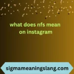 what does nfs mean on instagram