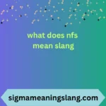 what does nfs mean slang