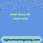what does nfs mean wizz