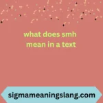 what does smh mean in a text