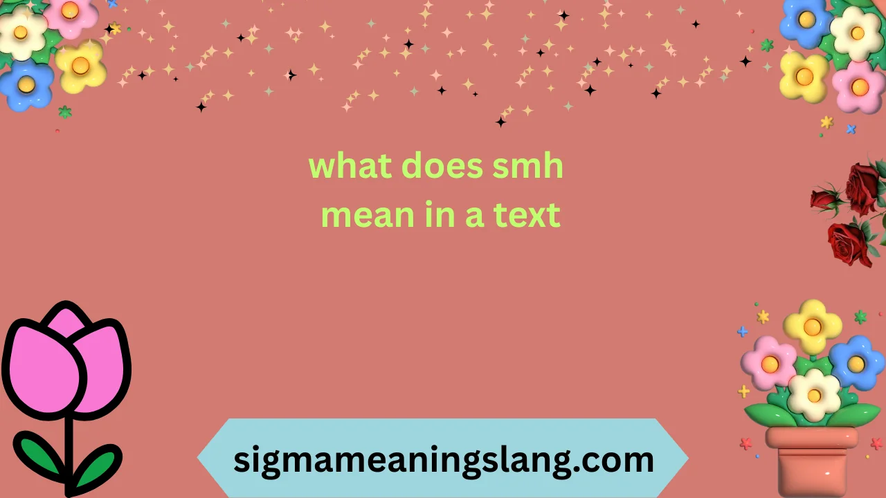 what does smh mean in a text