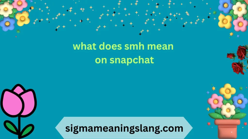 what does smh mean on snapchat